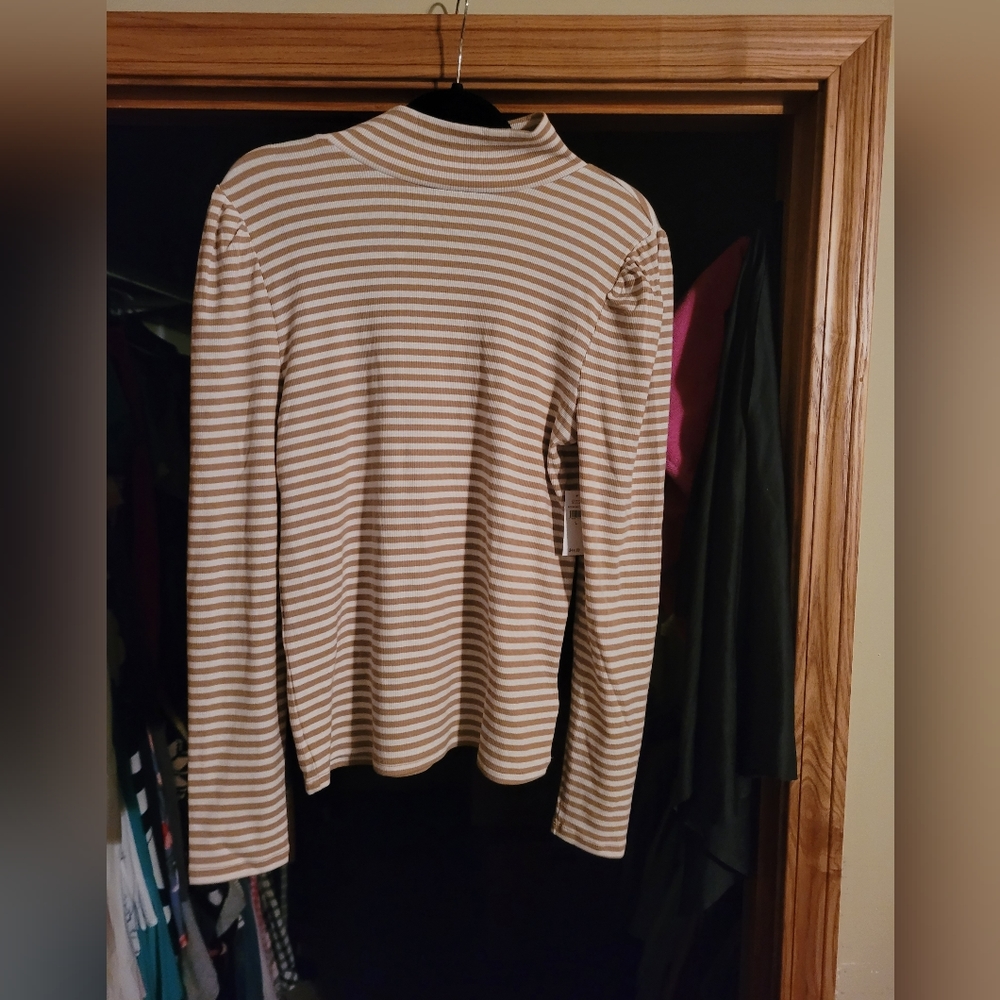 Beige & White Gap Turtleneck